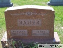 Henry Bauer