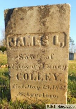 James L Colley