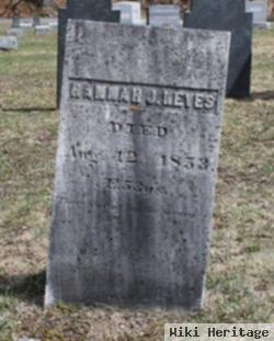 Hannah Johnson Keyes