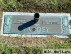 Mary Lillian Adams Prodey