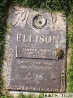 James Michael Ellison