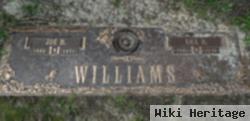 Joe M. Williams