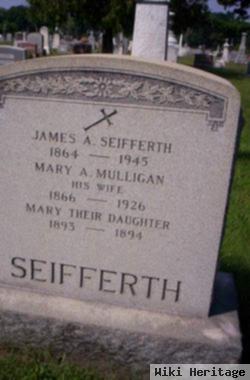 Mary A Mulligan Seifferth