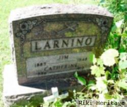 Jim Larnino