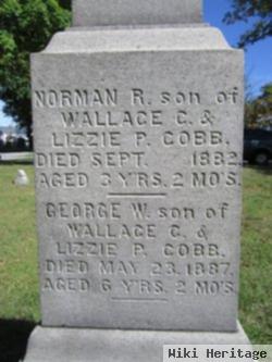 George W Cobb