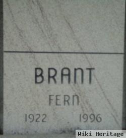 N Fern Snyder Brant