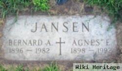 Agnes E. Jansen