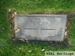 David H Fender