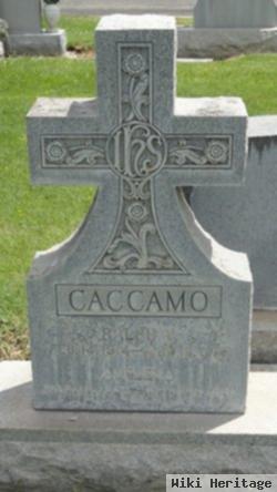 Ralph V. Caccamo