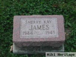 Sherry Kay James