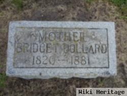 Bridget Phelan Dollard