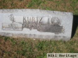 Harry Henry Kurtz