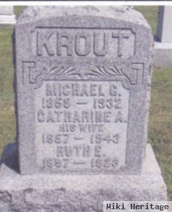 Michael Gunnett Krout