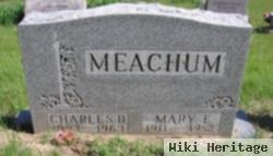 Mary Elizabeth Collins Meachum