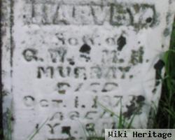 Harvey Murray