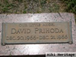 David Wayne Prihoda