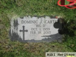 Dominic J. Carter