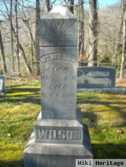 William Matthew Wilson