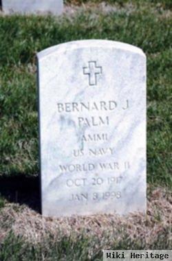 Bernard J Palm