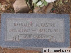 Reynaldo M Castro