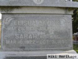 Elisha Dakins