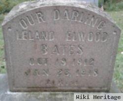 Leland Elwood Bates