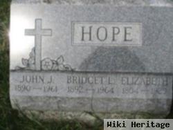 Bridget L. Hope