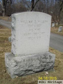 William D Wilson