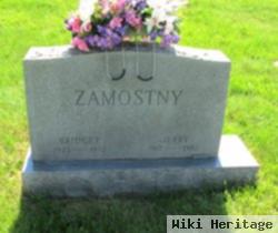 Jerry Zamostny