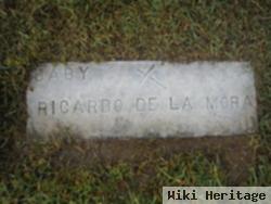Ricardo De La Mora
