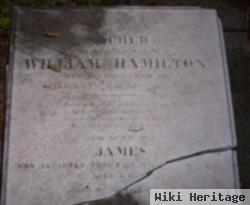 William Hamilton