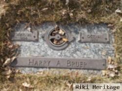 Harry A. Bruer