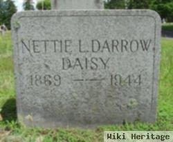 Nettie L. Darrow Daisy