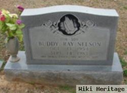 Buddy Ray Nelson