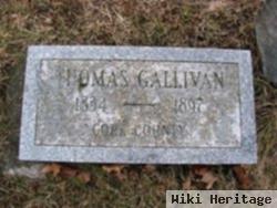 Thomas Gallivan