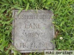 Joseph Robert "joey" Lane