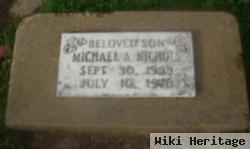 Michael A Nichols