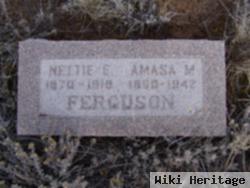 Amasa M Ferguson