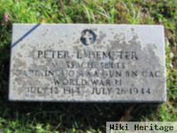 Dr Peter L Demeter