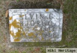 Alvin Bjorgo