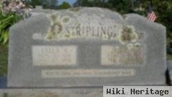 Jesse H Stripling