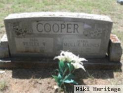 Mary Ann "mollie" Maines Cooper