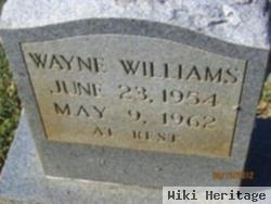 Wayne Williams