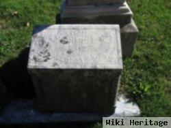 Eliza D Kirk Piatt