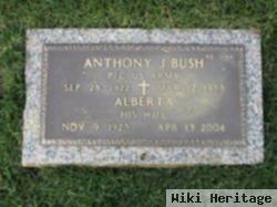 Anthony J Bush