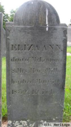 Eliza Ann Willoby