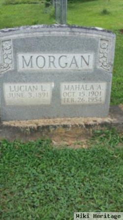 Lucian L Morgan