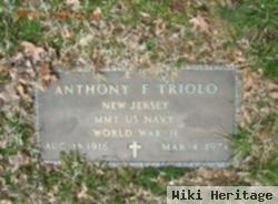 Anthony F Triolo