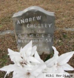 Andrew Chesley Bedenbaugh