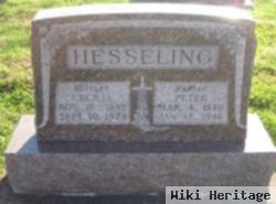 Peter Joseph Hesseling